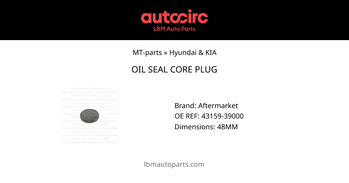 OIL SEAL CORE PLUG